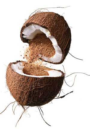 coconut_varticle coconut_varticle